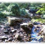 Pinehurst Branch Stream Restoration