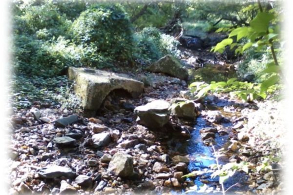 Pinehurst Branch Stream Restoration