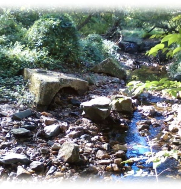 Pinehurst Branch Stream Restoration